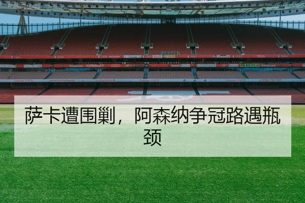 sa-ka-zao-wei-jiao-a-sen-na-zheng-guan-lu-yu-ping-jing-2-476.jpg