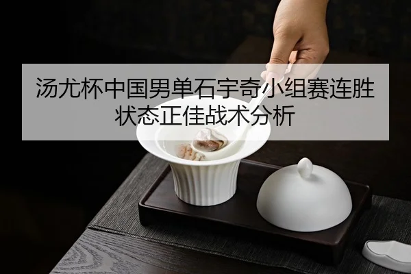 汤尤杯中国男单石宇奇小组赛连胜状态正佳战术分析