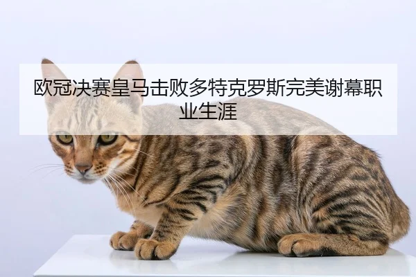 欧冠决赛皇马击败多特克罗斯完美谢幕职业生涯